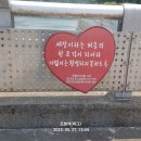 금강물길 이미지