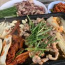 시골오리 이미지