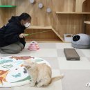 서울동물복지지원센터 동대문 동물병원 이미지