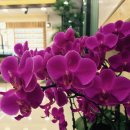 마이아이안경원 이미지