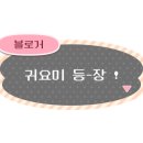 보고약업사 네이버블로그