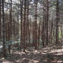 춘천대지부동산공인중개사사무소 이미지