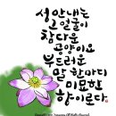 사람의 참된 아름다움 이미지