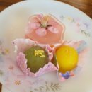 이희재농장 이미지