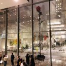 첫눈에안경 이미지