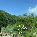 아이프스테이 | 뮤지엄산 근처 숙소 에어비앤비 아이프 로컬스테이