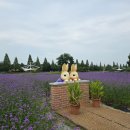 꽃동산어린이공원-1 이미지