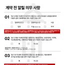 소미실비