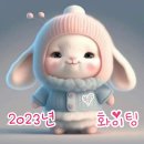 사니조아 이미지