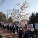 (학교)경포고 이미지