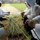 한산마을 이미지