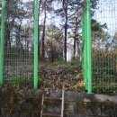 유성대로 1312번길 이미지