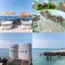 애월에서 이미지