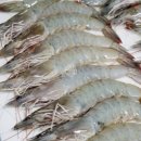 판교스포츠센터 이미지