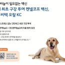 에코 켄넬 이미지