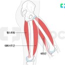 21세기미금의원 이미지