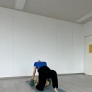소소한요가
