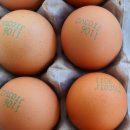 대건2농장 이미지