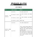그레이시주짓수경주