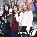 스텔라 이미지