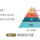 하인리히 및 버드의 재해 구성 비율 이미지