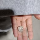 제25년 3월 부산교구 합동 야영 후기 이미지