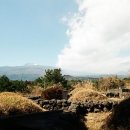 남원읍-20 이미지