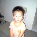 준성목장 Daum카페