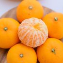 조이농장 이미지