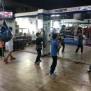 라이노 복싱 GYM 이미지
