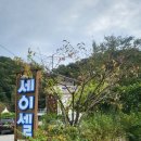 세이셸펜션 | 아이가 더 좋아하는 수영장과 워터슬라이드! 가족여행으로 딱인 춘천가족펜션 세이셀펜션