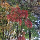 승기근린공원 이미지