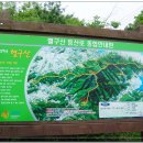 강화터미널커피자판기