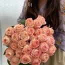 수피아플라워 | 남양주꽃배달 수피아 플라워 주차문의