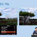 블루텍주