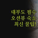 더그레이스펜션 | 숙소 추천 | 프라이빗 독채 풀빌라 솔직 후기 | 오션뷰 펜션 완벽한 비교 | 2024년 여름 휴가 총정리