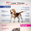 아이봄 동물병원 이미지