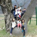 가곡초등학교(보발분교) 이미지