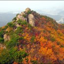 관-비-4-4호 이미지