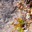 제장민박 이미지