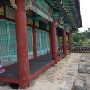 유림음성 이미지