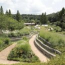 무릉도원 이미지