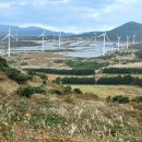 따라비태양광발전소 이미지