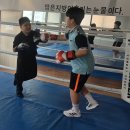 용인대W복싱짐 | 화명동복싱 배우기 좋은 용인대W복싱짐 2호점 운동 후기!