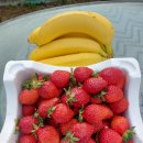 가빈과일&장봐주는언니 이미지