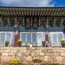 강진 바스락길 | 강진, 가을 백련사 - 고요한 산사의 단풍길을 걷다