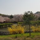 원적산공원 네이버블로그