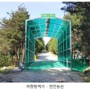 진영하이텍