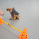 다온멍스쿨 이미지