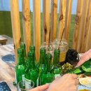 다복양곱창 - 중구 자갈치로59번길 5-7 | 다복양곱창